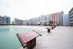 学校环境（图6）