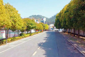 学校环境（图1）